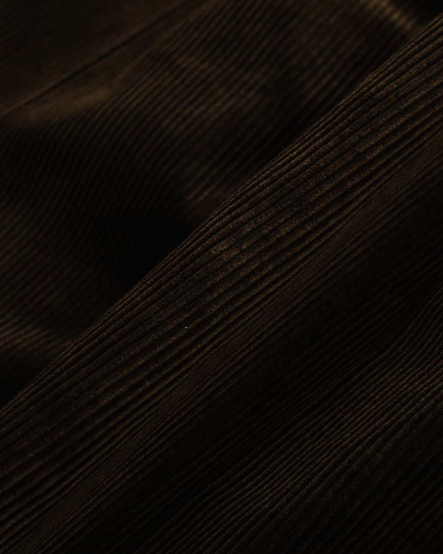 lost & found Beams Plus Beams Plus 2Pleats Corduroy Dark Brown