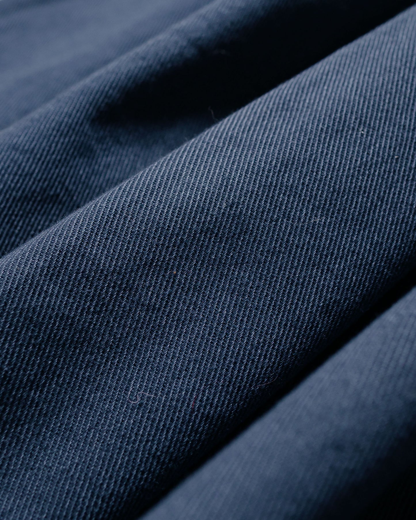 lost & found Danton Danton 10/- Loose Chino Tuck Pants Blue