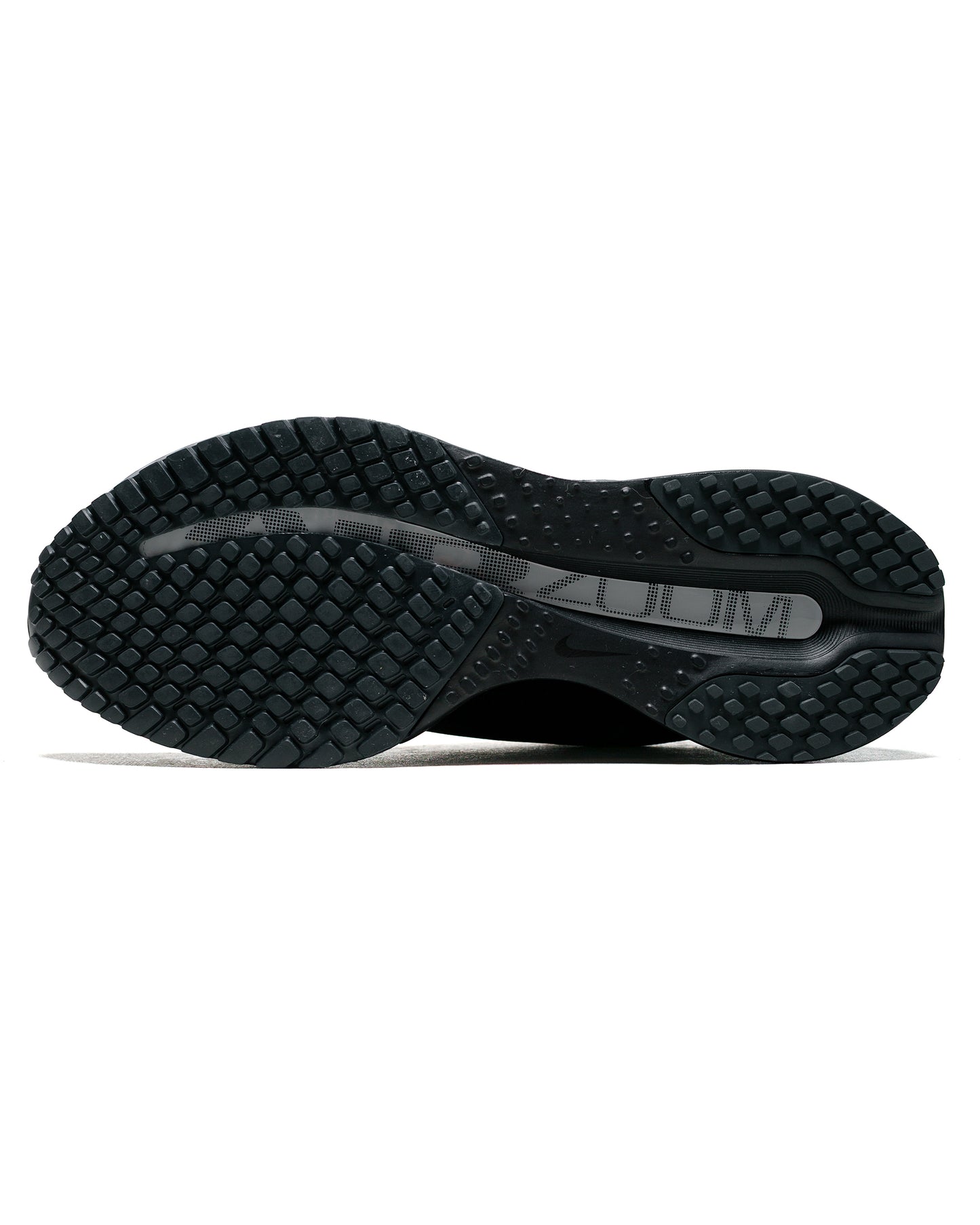 lost & found Nike Nike Pegasus Premium SP Black/Metallic Silver