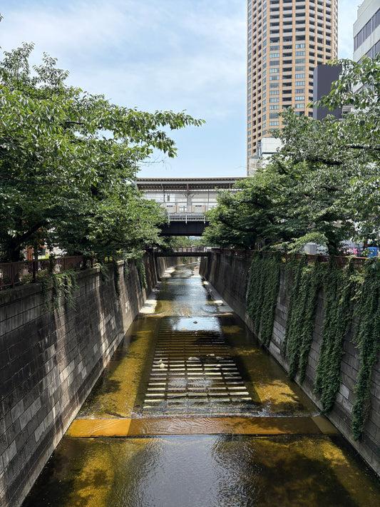 JAPAN AW25 BUYING TRIP RECAP