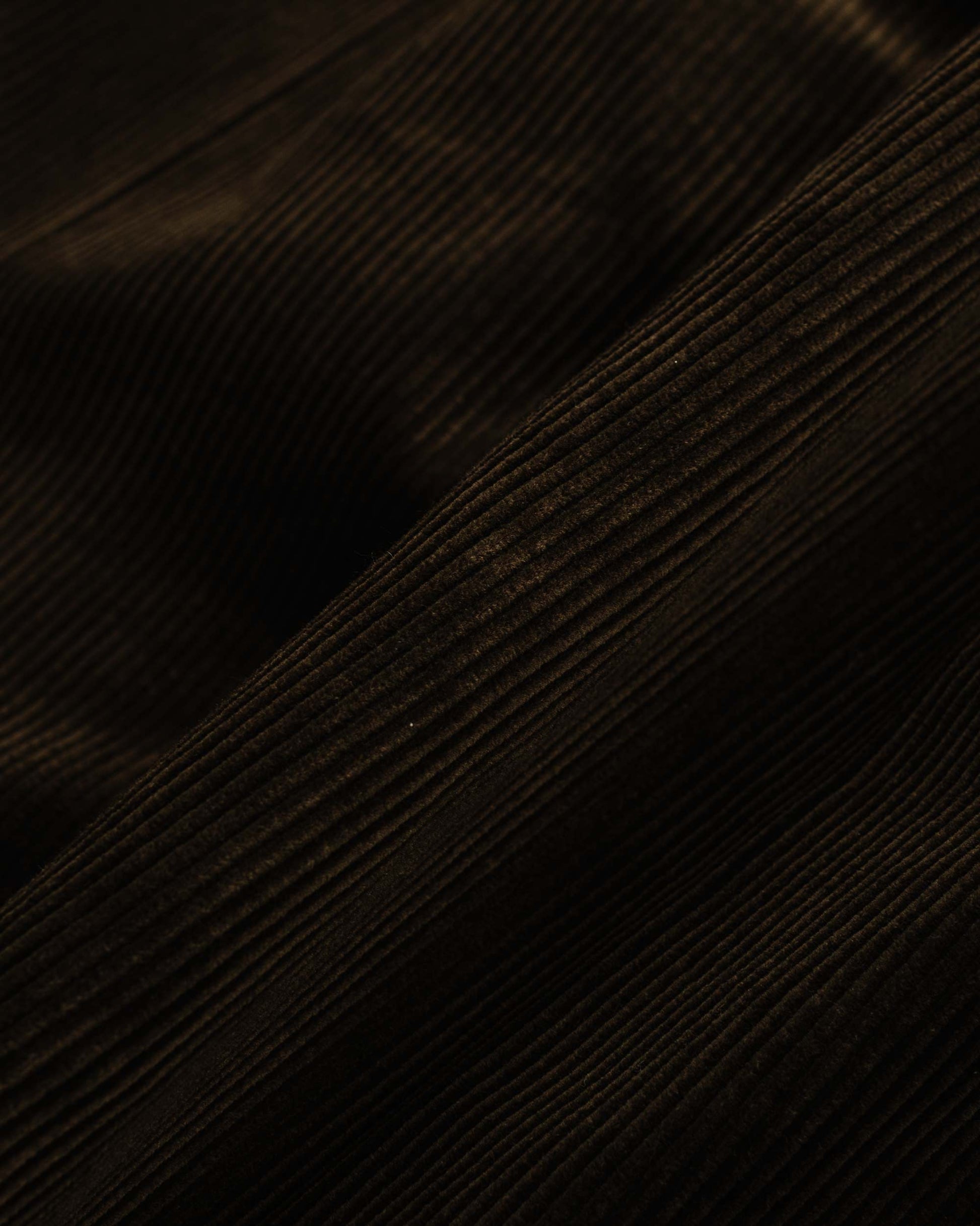 lost & found Beams Plus Beams Plus 2Pleats Corduroy Dark Brown