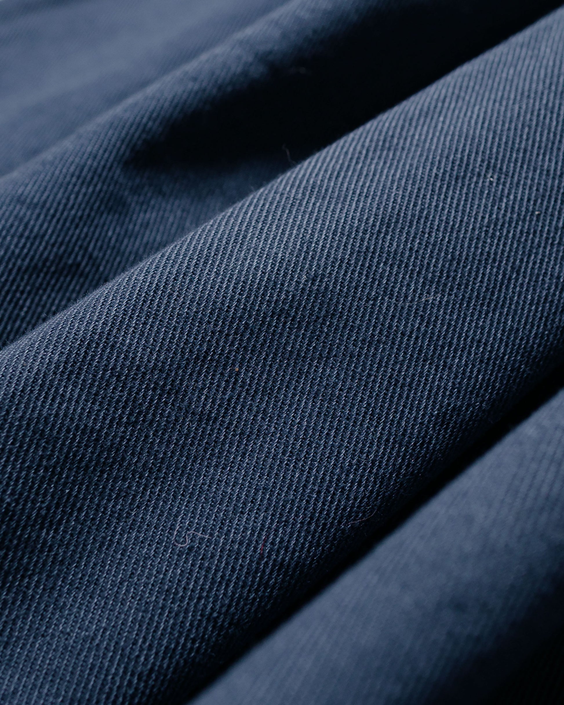 lost & found Danton Danton 10/- Loose Chino Tuck Pants Blue