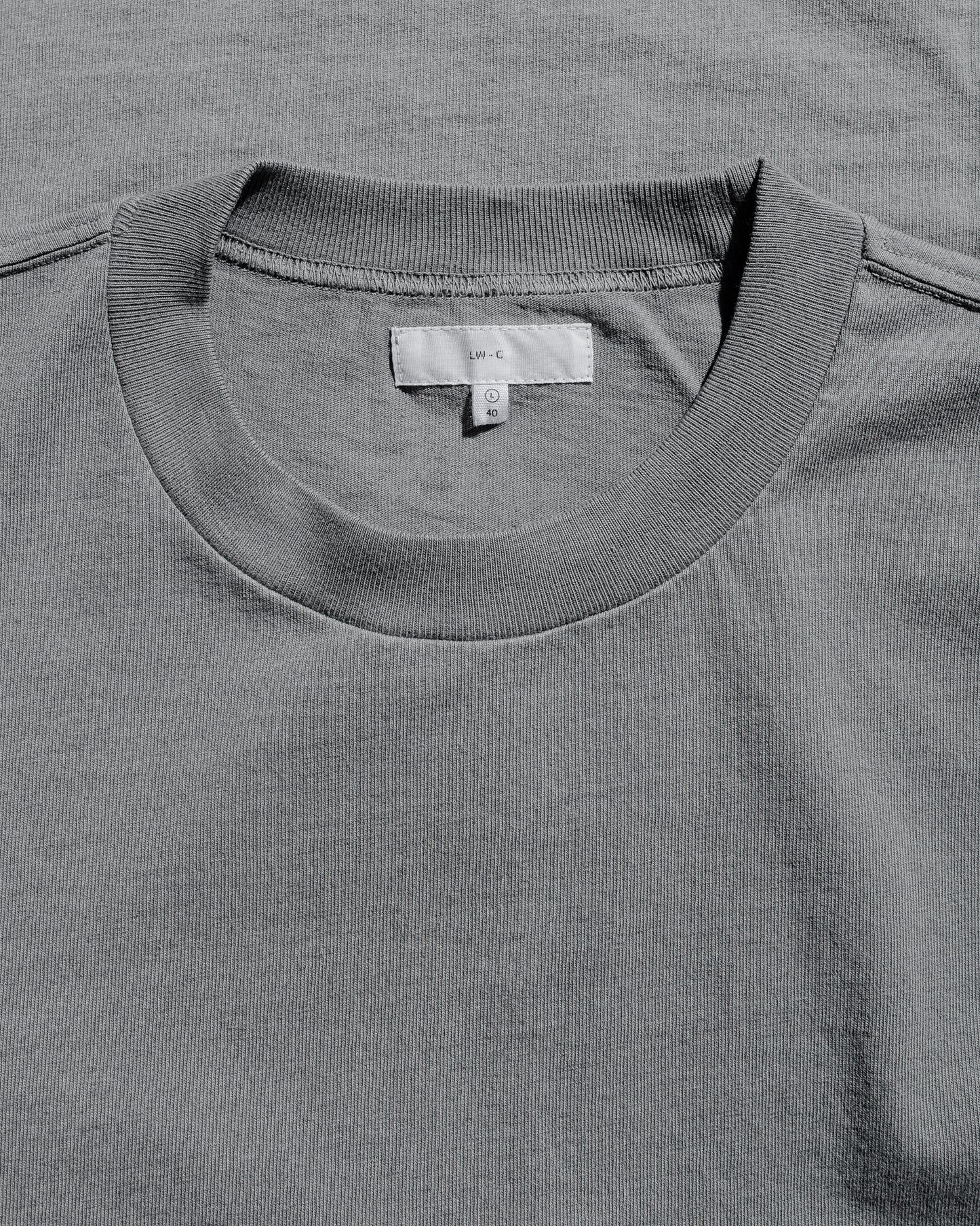 lost & found Lady White Co. Lady White Co. L/S Municipal T-Shirt Kelp