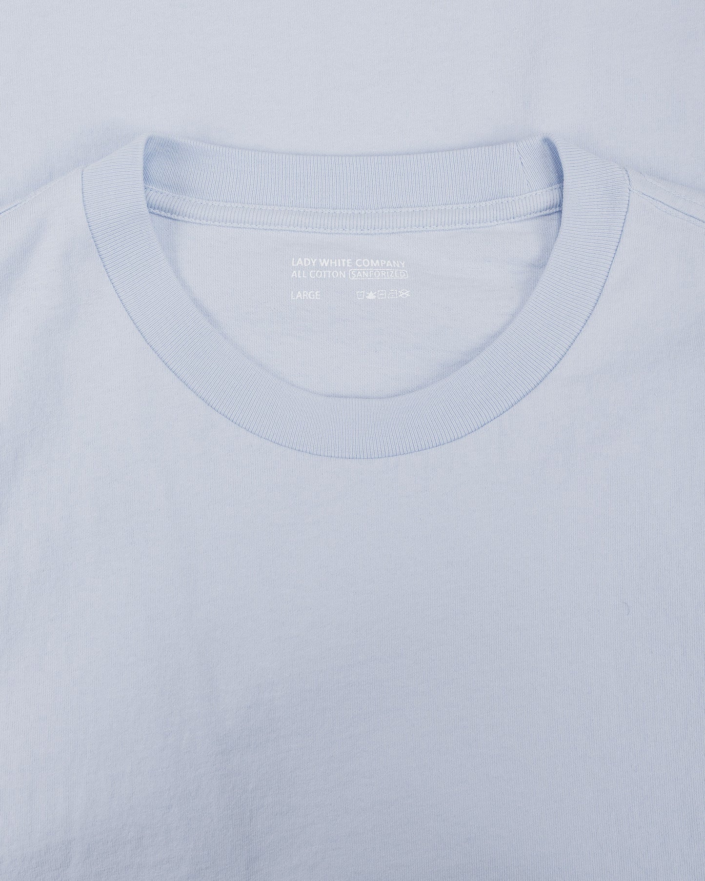 lost & found Lady White Co. Lady White Co. Municipal T-Shirt Pale Blue