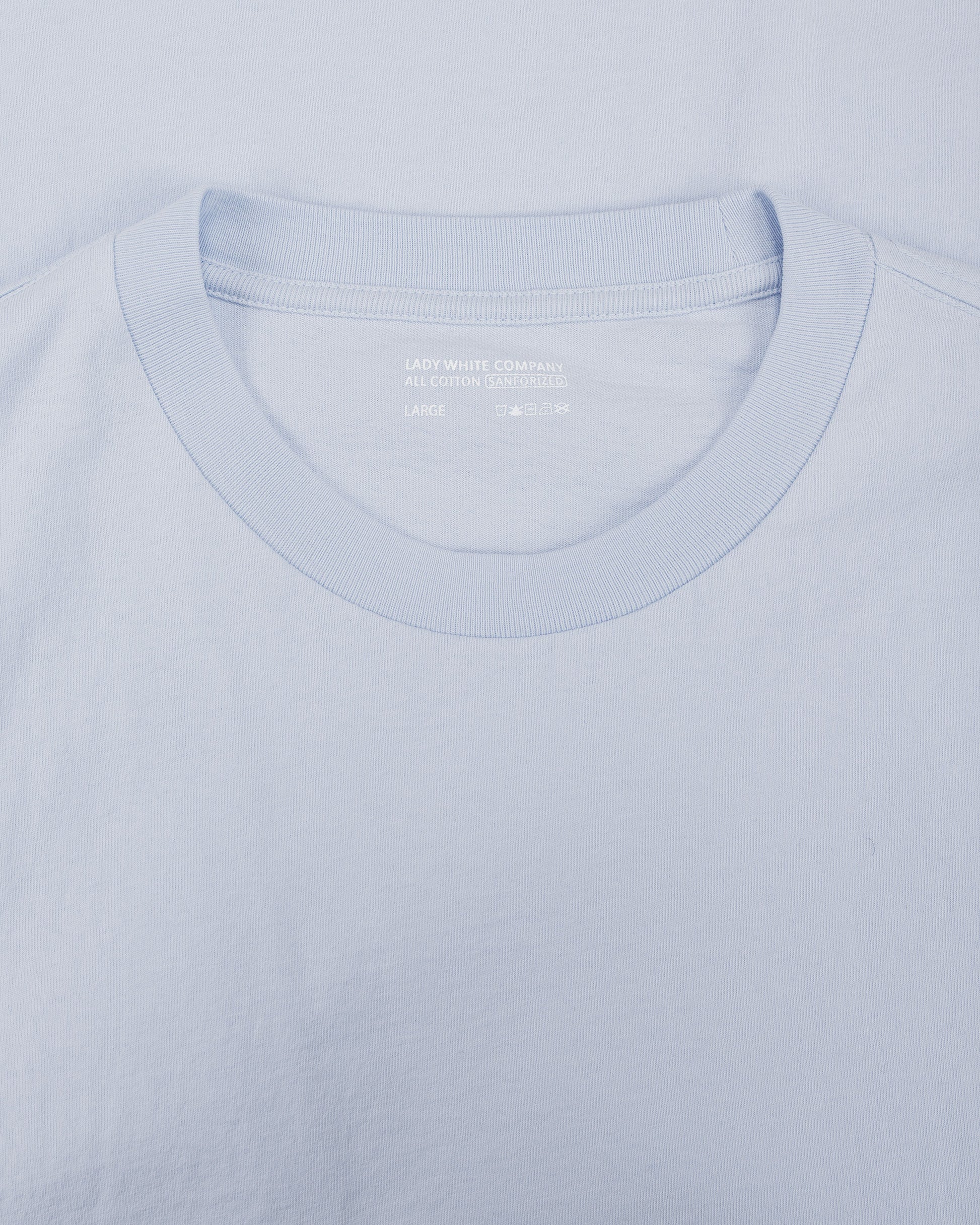 lost & found Lady White Co. Lady White Co. Municipal T-Shirt Pale Blue