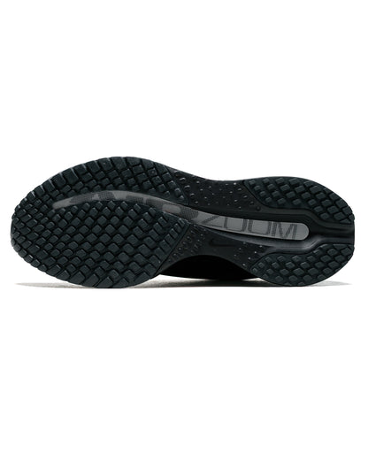lost & found Nike Nike Pegasus Premium SP Black/Metallic Silver