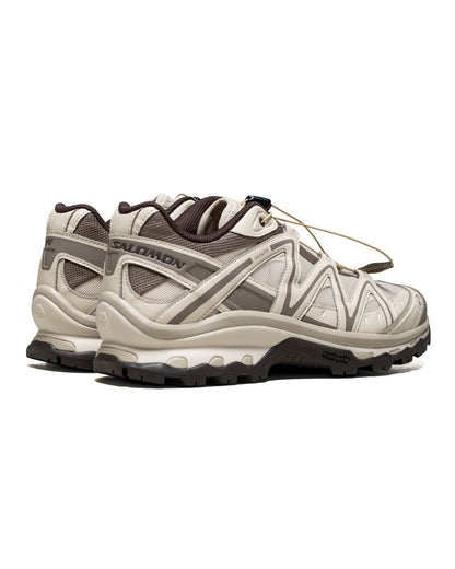 lost & found Salomon Salomon XT-QUEST Tapioca/Walnut/Black Coffee