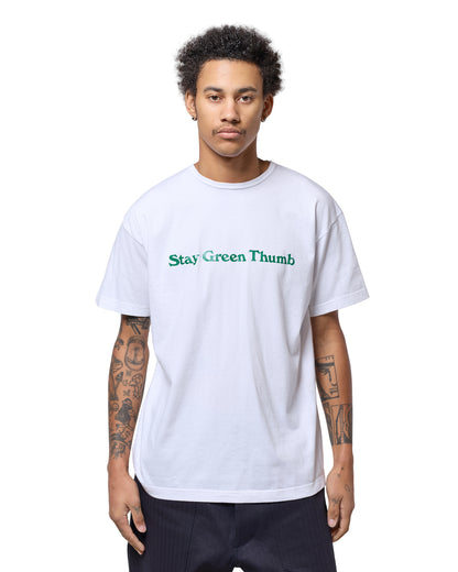 lost & found Sassafras Sassafras Stay Green Thumb T 1/2 White